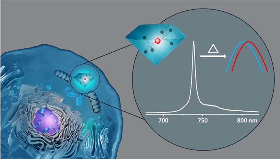 Progress on Bio-Quantum Sensing with Nanodiamonds