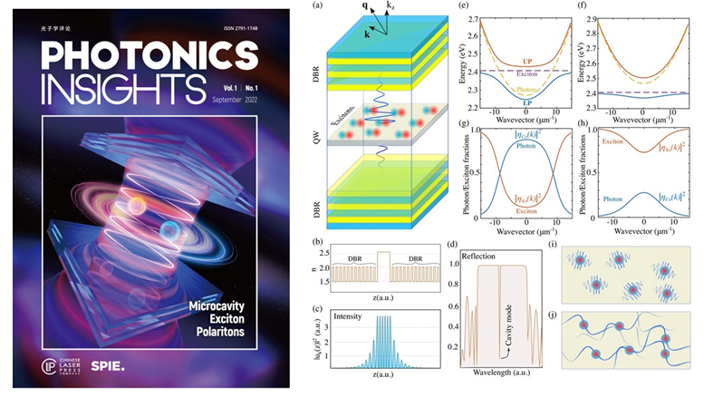 Quantum Fluids of Light at Room Temperature