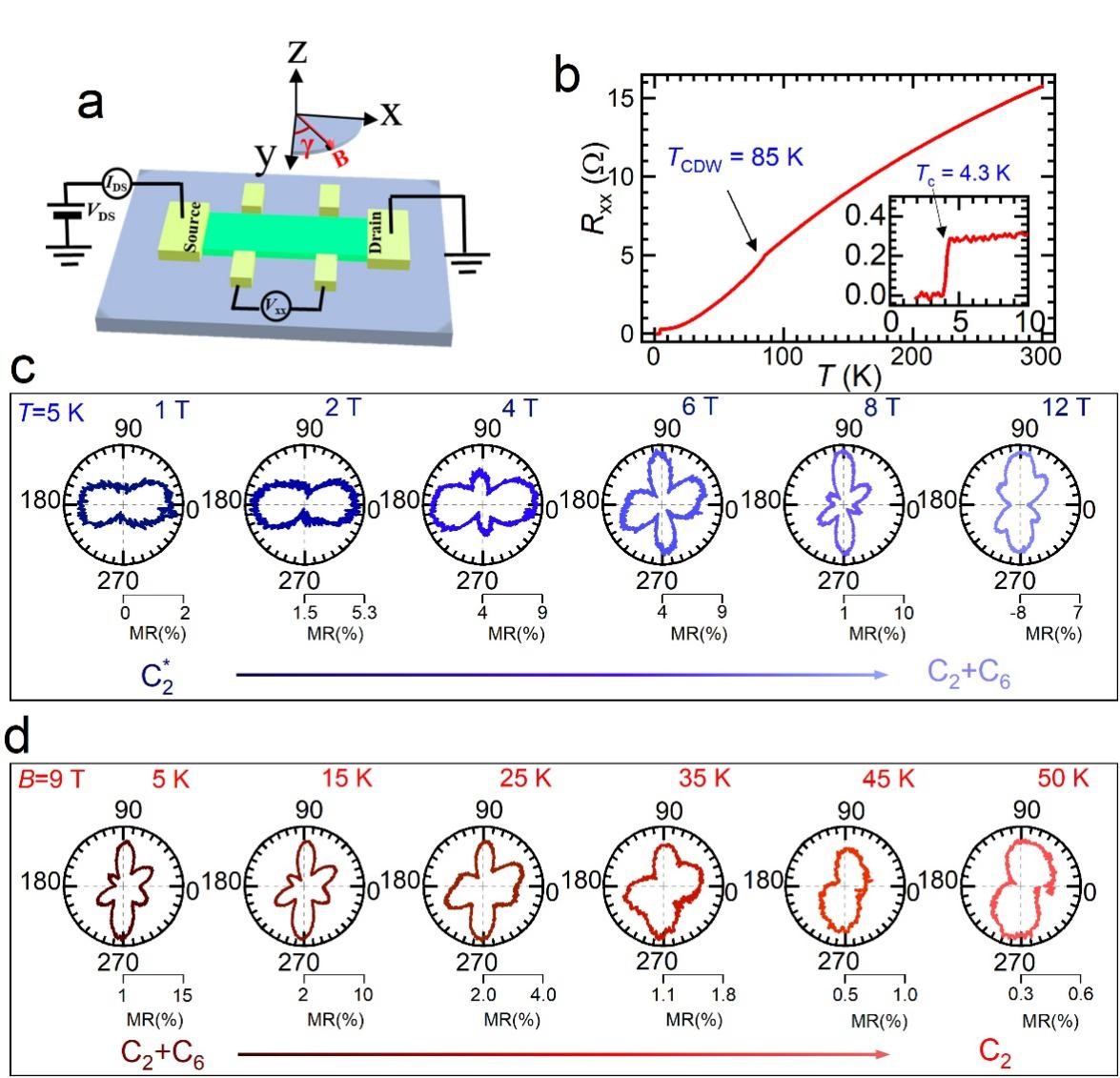 In-situ quantum transport group discovered a three-dimensional hidden phase in kagome metal