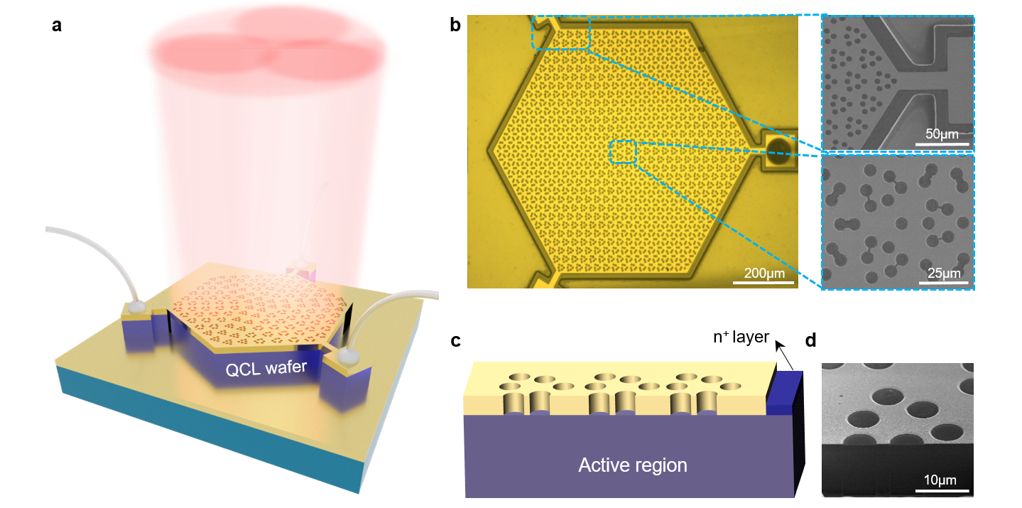 Research Progress on Terahertz Topological Laser 