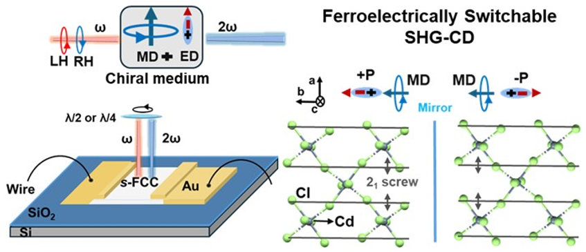 Low-dimensional Quantum Materials Group and Collaborators Reported the Achievement of Switchable Chiral Nonlinear Optical Response