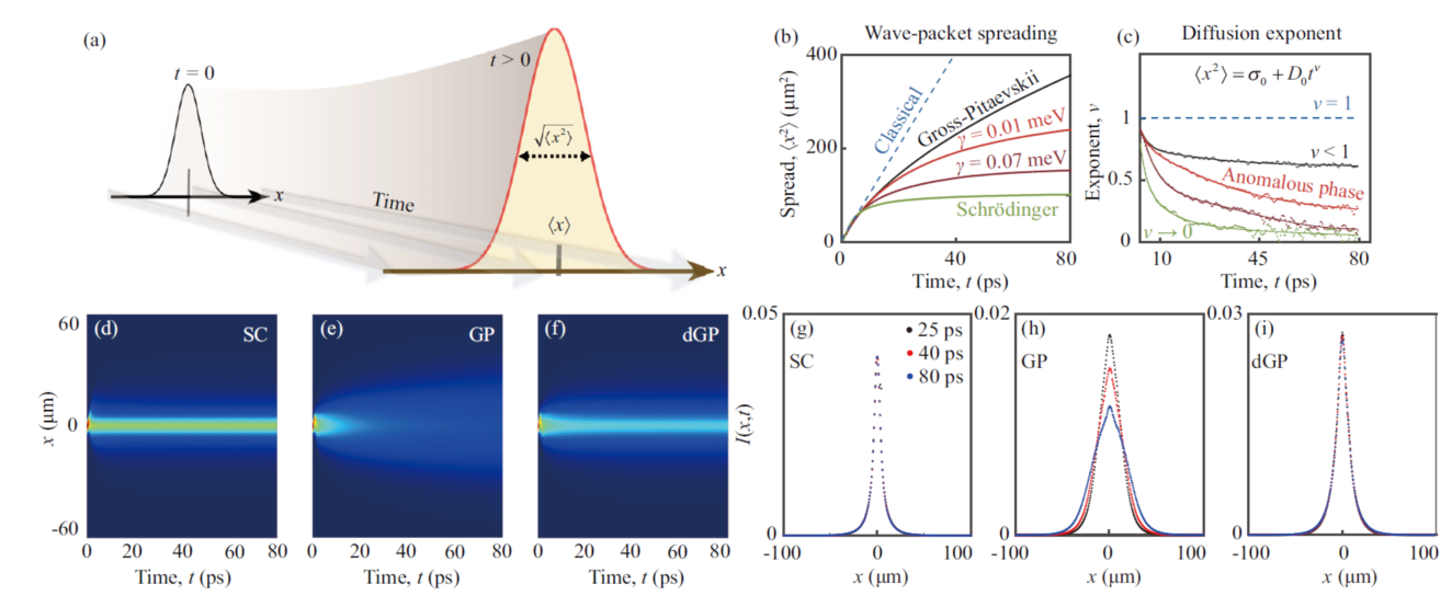 Ultrafast Optical Spectroscopy Group with Collaborators Have Made New Progress in the Research of Exciton Polariton Quantum Propagation Theory