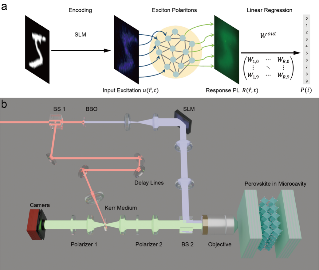 Ultrafast Optical Spectroscopy Group Has Achieved Exciton Polaritons Neuromorphic Computing in Perovskite Microcavity 