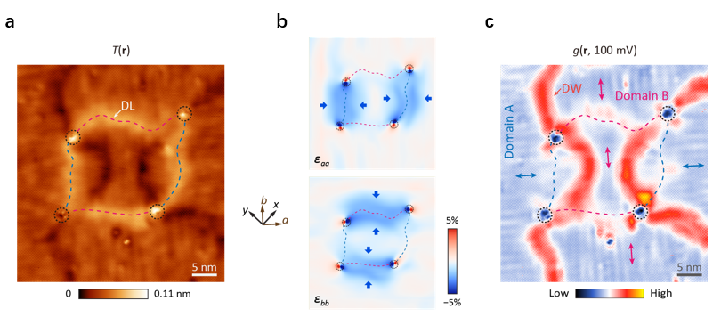 Low-dimensional Quantum Materials Group Has Made Progress in the Research of FeSe Films Electronic Liquid-Crystal Phases