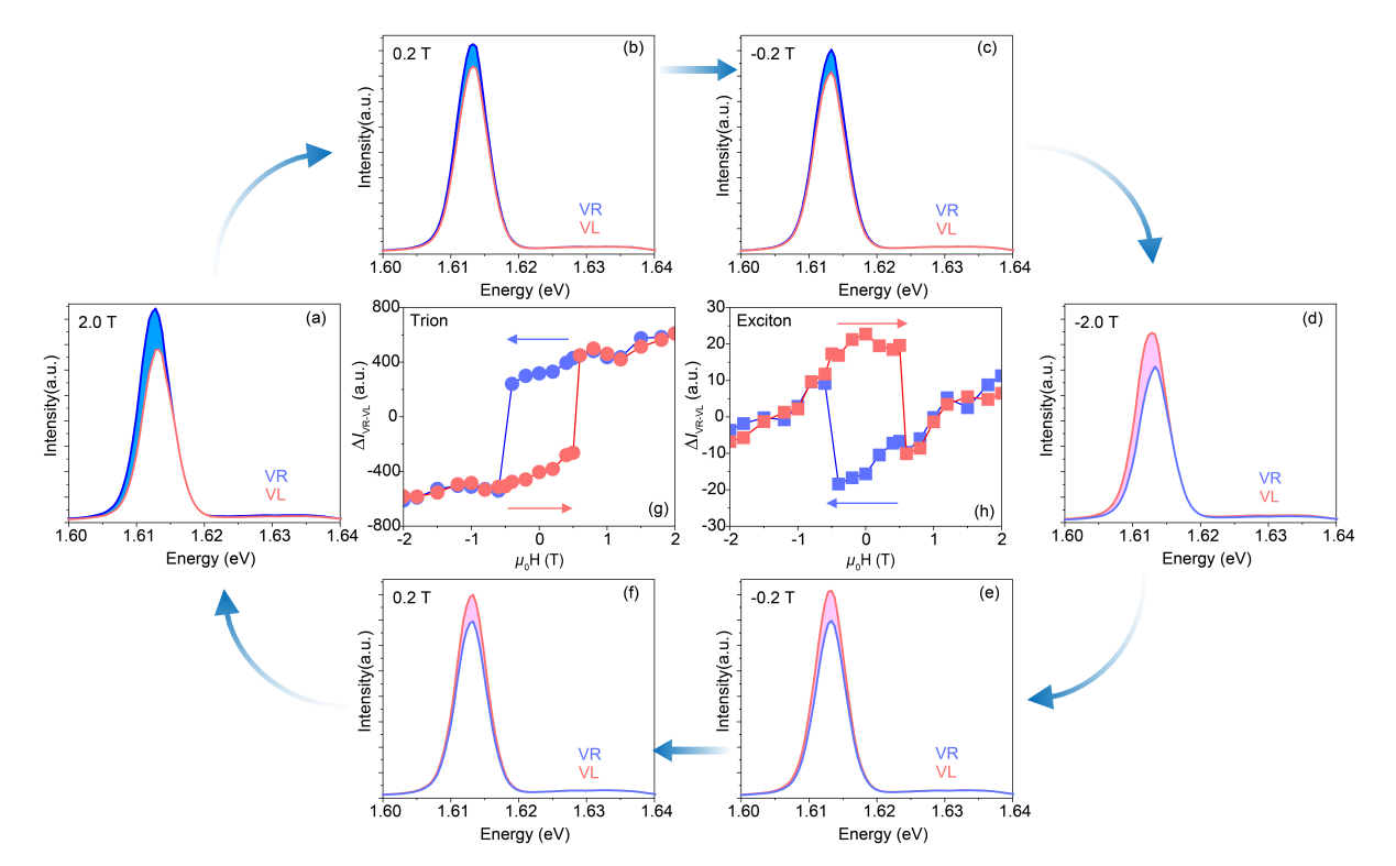 Ultrafast Optical Spectroscopy Group Has Made New Progress on Proximity-Driven Non-Volatile Spin and Valley Control in a Van Der Waals Antiferromagnetic Heterostructure