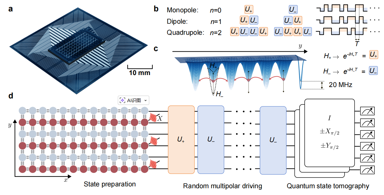 BAQIS Has Achieved  Prethermalization by Random Multipolar Driving on a 78-qubit Processor