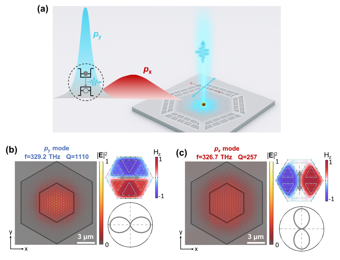 Prof. Zhiliang Yuan's Group Has Achieved Polarized Single-Photon Emission from an Anisotropic Dirac Cavity