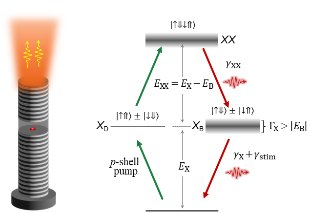 Breakthrough in Solid-State Quantum Light Sources: Yuan Zhiliang’s Team at BAQIS Realizes High-Efficiency Two Photon Emitter from a Single Quantum Dot